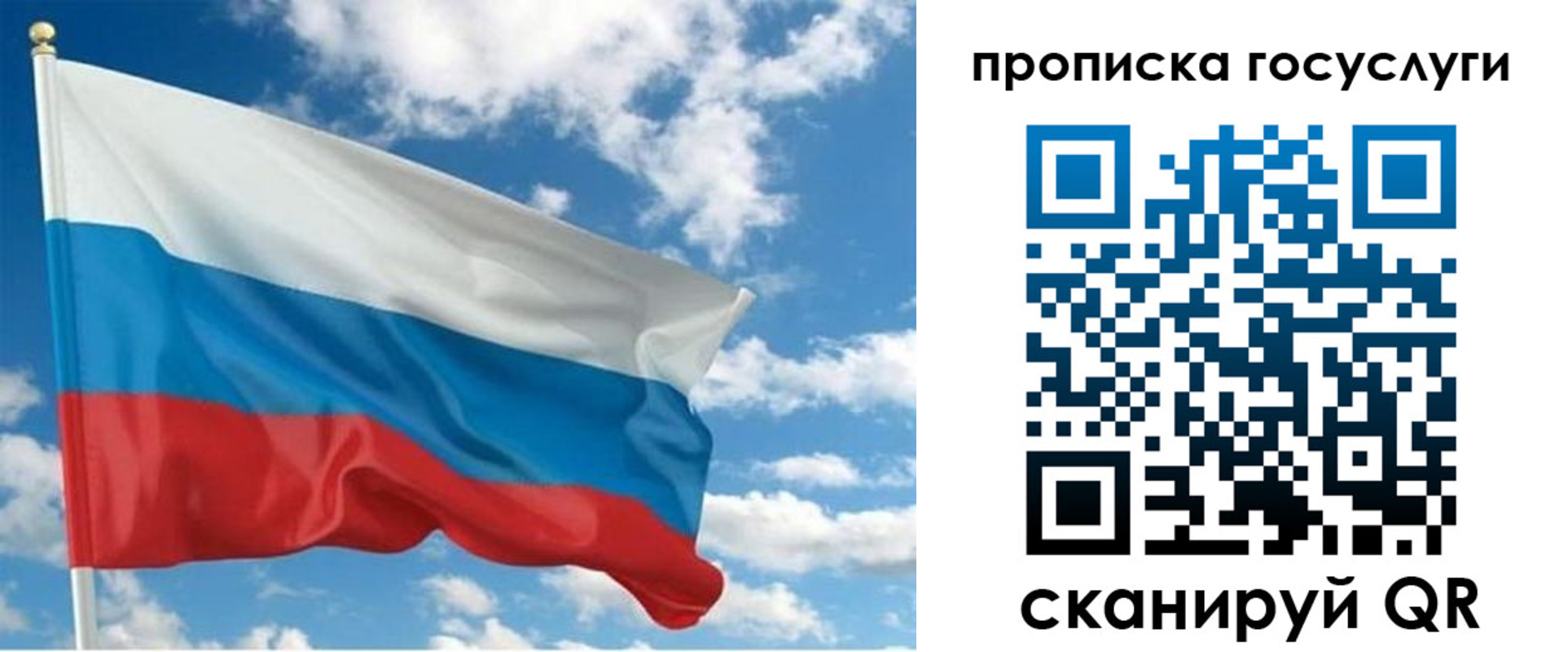 временная регистрация поиск в Мурманской области
